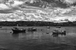 img_1048 2-1silv  001
